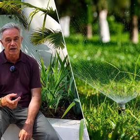 El jardinero José González revela cómo regar el césped en verano para que no se queme: "Mejor en días alternos y en profundidad"