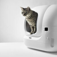 Este arenero se vacía automáticamente, elimina los malos olores y se controla desde el móvil 