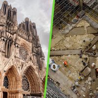 Después del incendio de Notre Dame, París solo quería reconstruirla y darle sombra con árboles: la tierra le devolvió Lutecia 