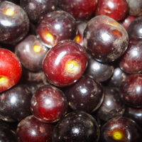 ¿Por qué Hanói prohíbe plantar un árbol de fruta dulce ligado a la infancia de muchos vietnamitas? 