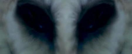 La cuarta fase\', el peor cine de terror imaginable La cuarta fase\', el peor cine de terror imaginable