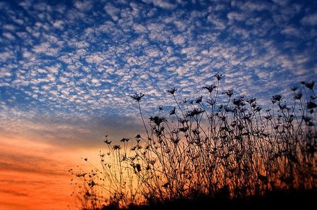 Las pymes baleares contra el CO2