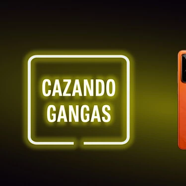 Cazando Gangas
