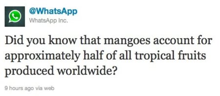 WhatsApp muy cerca de Windows Phone 7, esperando a Mango