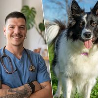 Adrián Conde, veterinario: "No recomiendo tener un Border Collie en casa con niños, porque es un perro de trabajo y si no le damos las necesidades adecuadas se puede estresar" 