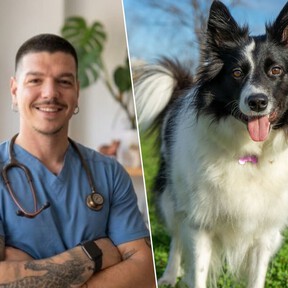 Adrián Conde, veterinario: "No recomiendo tener un Border Collie en casa con niños, porque es un perro de trabajo y si no le damos las necesidades adecuadas se puede estresar" 