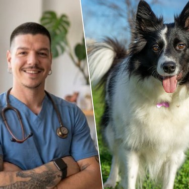 Adrián Conde, veterinario: "No recomiendo tener un Border Collie en casa con niños, porque es un perro de trabajo y si no le damos las necesidades adecuadas se puede estresar" 