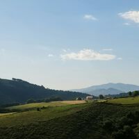 Hace tanto calor en el País Vasco que las huertas están sufriendo el mismo destino que en la costa mediterránea