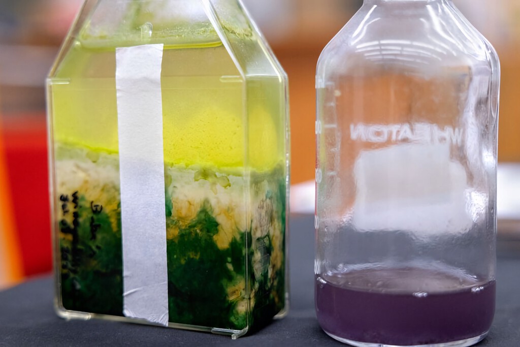 Solemos asociar el color verde a la vida, pero hay razones para creer que la vida en otros planetas es de color púrpura