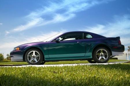 Los colores del Mustang