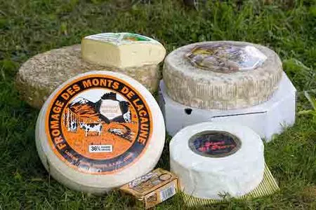 Oda al queso