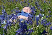 La foto de tu bebé: primavera azul