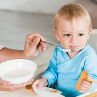 Las primeras papillas y purés del bebé: cuándo ofrecerlos y cómo prepararlos