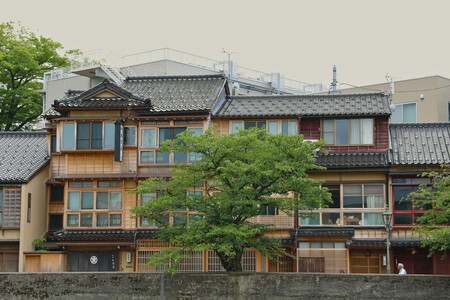 Pexels Sakuratosoju 29688002