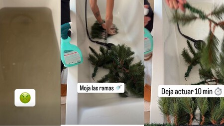 Lavar Arbol De Navidad