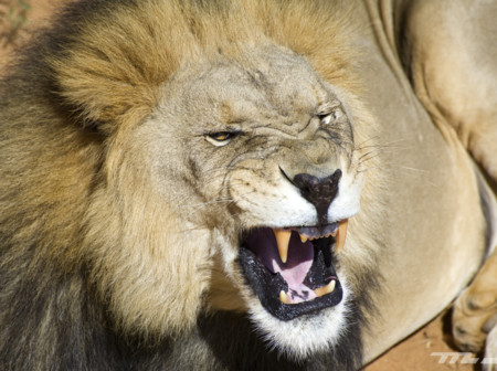 Descubriendo el interior de Namibia por carretera: 32 imágenes de una ruta inolvidable
