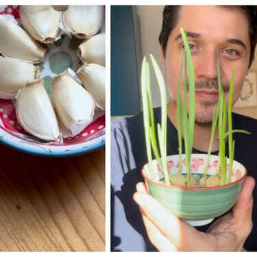 Si tienes un ajo que echa brotes, no lo tires: mejor plántalo 