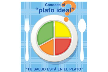 El "plato ideal" para controlar el peso y combatir la obesidad