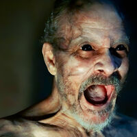 Hoy en Amazon Prime Video: la película de terror apocalíptica de bajo presupuesto no apta para claustrofóbicos  