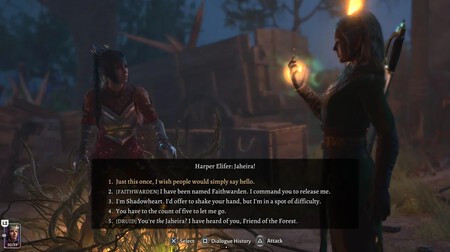 Bg3 Titulo Inutil Recurso 2