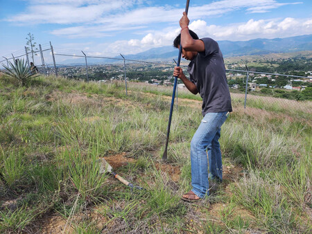Reforestacion