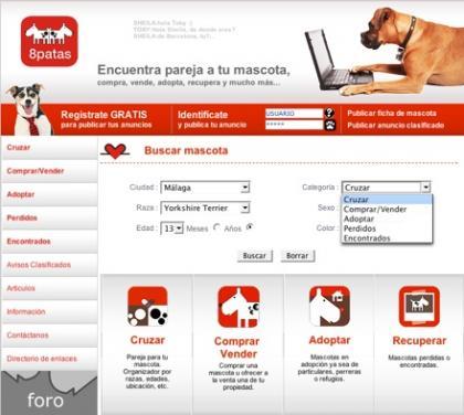 8patas, buscando parejas a los perros a través de internet
