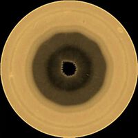 Astrónomos aficionados encontraron algo raro en Saturno. El Hubble acaba de confirmar qué era: un decágono de nubes en su polo sur 