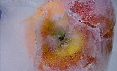 ¿Cuál es el tiempo recomendado para conservar en buen estado los alimentos en el congelador?