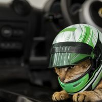 Todo lo que intentaron colarnos en el April Fools' Day de este año