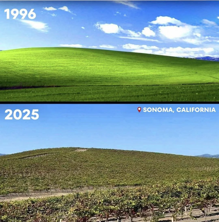 Windows Xp Fondo De Pantalla