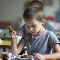 Uno de cada 10 niños en edad escolar presenta alguna alergia alimentaria, un 3% más que en 2019