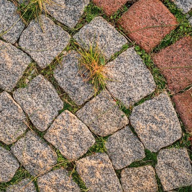 Lejos del vinagre blanco: el agua hirviendo se convierte en el nuevo aliado ecológico para tu jardín 