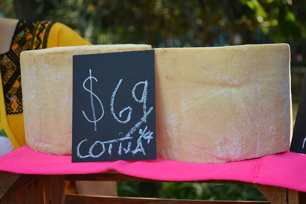 Quesos típicos de México, desde el panela hasta el Cotija