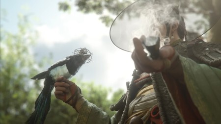 Woochi The Wayfarer 1 1