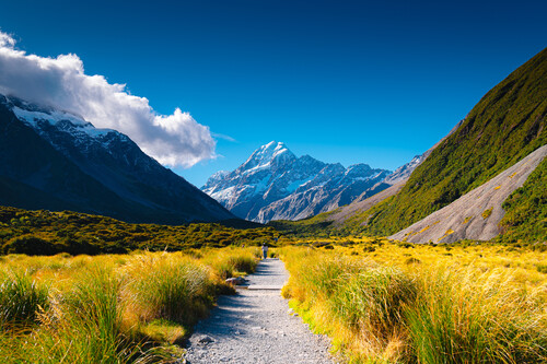 Nova Zelândia. Créditos: 	pongnathee kluaythong/GettyImages