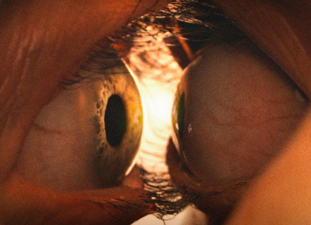 Una de las más polémicas cintas de body-horror se ha estrenado con tropiezos: un director indie acusa plagio (cuadro a cuadro) de la laureada película en Sundance 