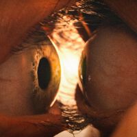 Una de las más polémicas cintas de body-horror se ha estrenado con tropiezos: un director indie acusa plagio (cuadro a cuadro) de la laureada película en Sundance 