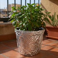 Por qué todos colocan papel de aluminio en las macetas de las plantas y cómo hacerlo 