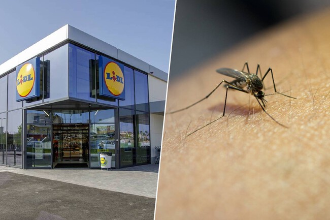 Lampara Matainsectos Electrica Lidl 1