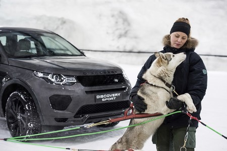 Land Rover Discovery Vs Trineo De Perros 3