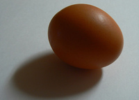 Salir de la crisis vs crear empleo, ¿la gallina o el huevo?