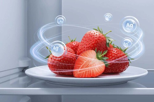 E418a43f95acf4c8e337c4bc1f801b2b