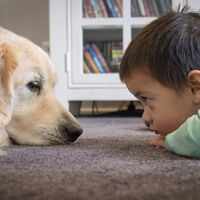 Martín de tres años tiene autismo: necesita un perro de asistencia que le ayude a comunicarse y a ser más autónomo