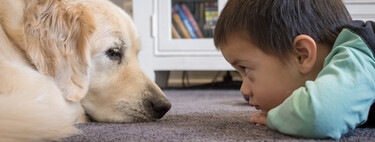Martín de tres años tiene autismo: necesita un perro de asistencia que le ayude a comunicarse y a ser más autónomo