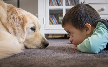 Martín de tres años tiene autismo: necesita un perro de asistencia que le ayude a comunicarse y a ser más autónomo