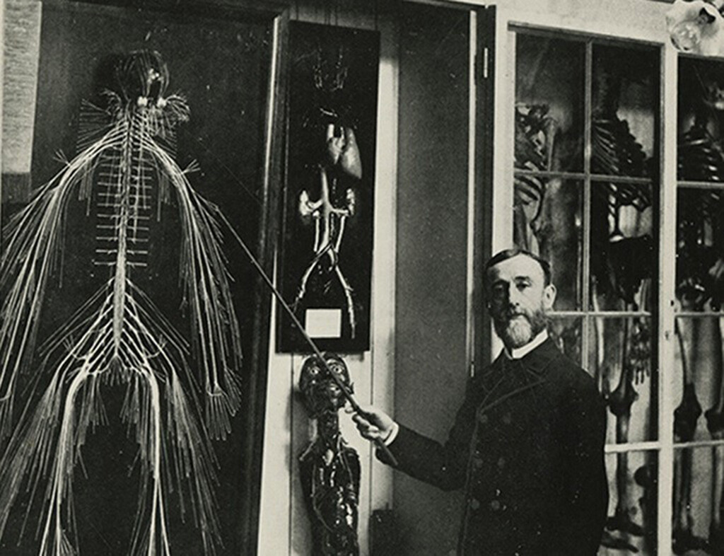 En 1888 un doctor inglés diseccionó un cadáver hasta dejarlo solo en sus nervios. Y alumbró la ciencia forense en el camino 