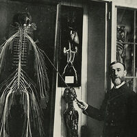 En 1888 un doctor inglés diseccionó un cadáver hasta dejarlo solo en sus nervios. Y alumbró la ciencia forense en el camino 