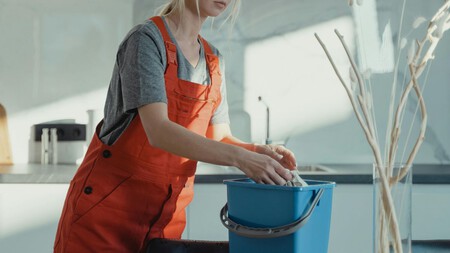 Mujer Lavando Trapos