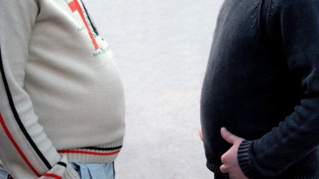 El depósito ectópico de grasa es responsable de los problemas metabólicos en obesos