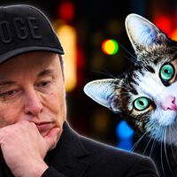 Elon Musk dice que Tesla está trabajando para evitar que los robotaxis atropellen gatos grises en la carretera 